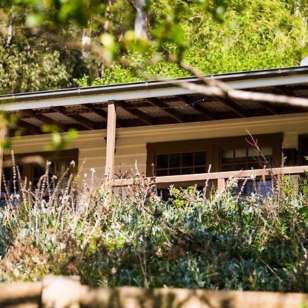 Buttercup Hill Bed & Breakfast Уорбъртън Екстериор снимка