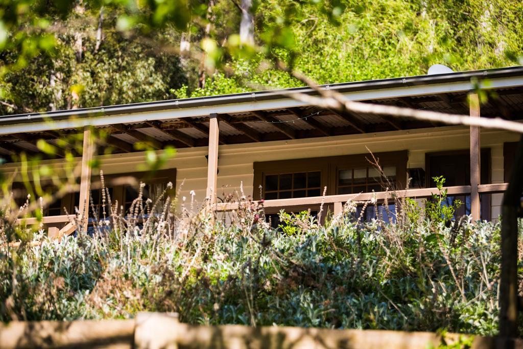 Buttercup Hill Bed & Breakfast Уорбъртън Екстериор снимка