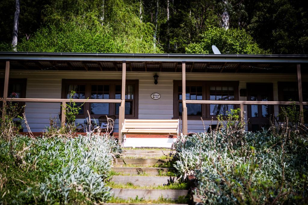 Buttercup Hill Bed & Breakfast Уорбъртън Екстериор снимка